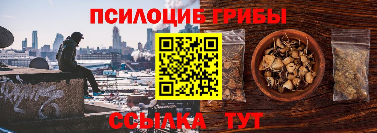 Псилоцибиновые грибы Psilocybe  Псилоцибиновые грибы Psilocybine cubensis  Вход с VPN  Лабинск 